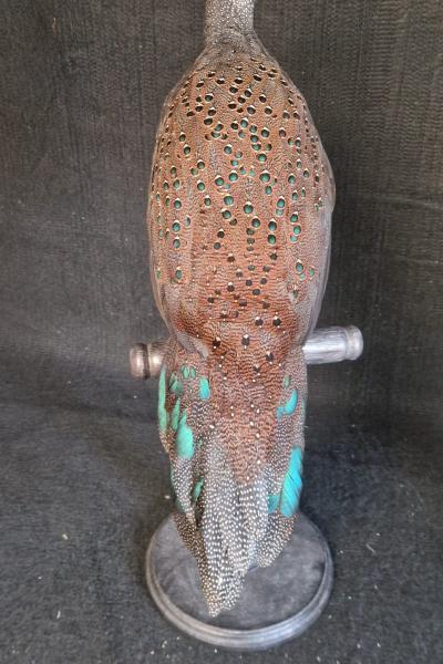 Mountain Peacock Pheasant
