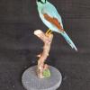 Common Green Magpie